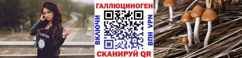 Псилоцибиновые грибы Psilocybine cubensis Прохладный